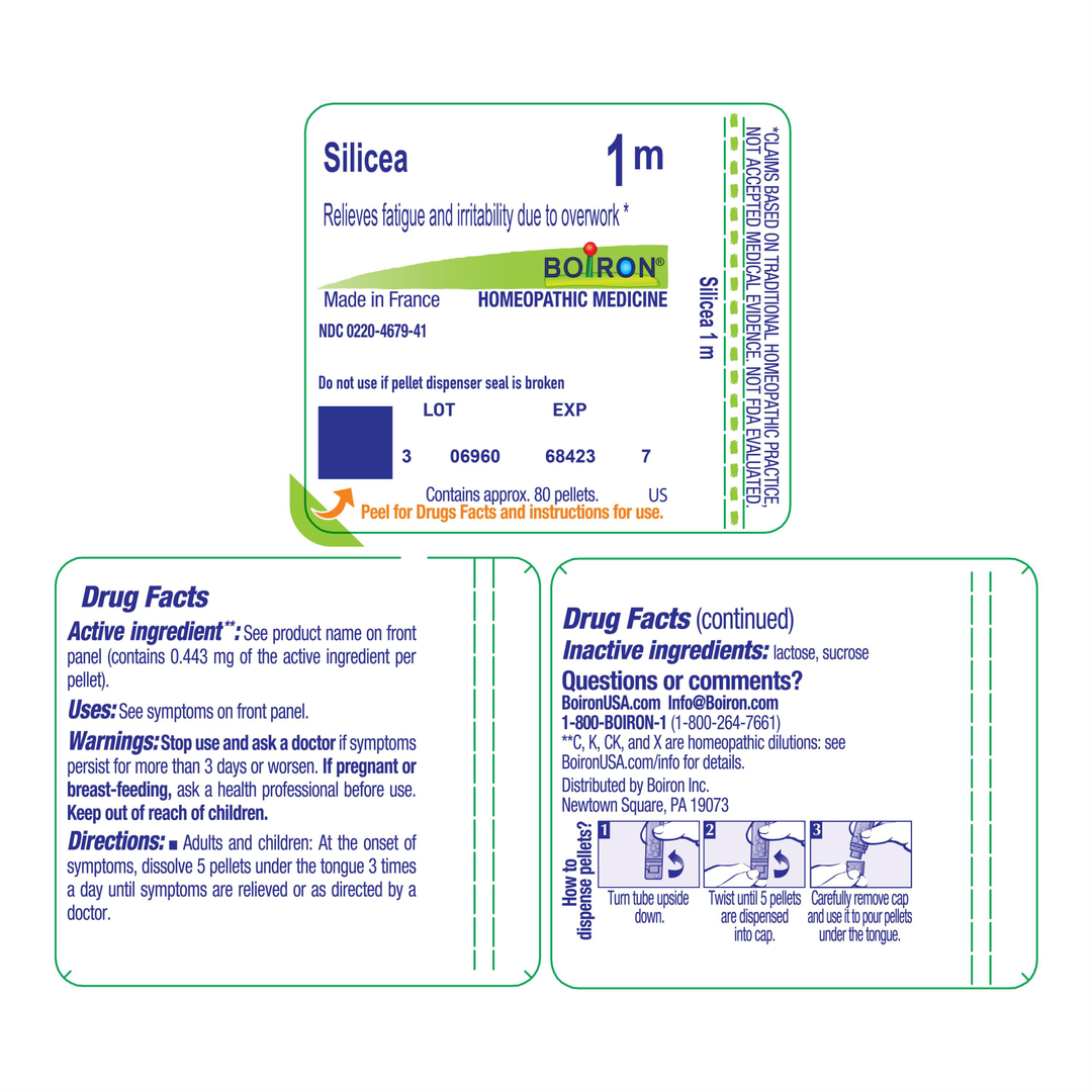 Silicea 1M 80 Pellets