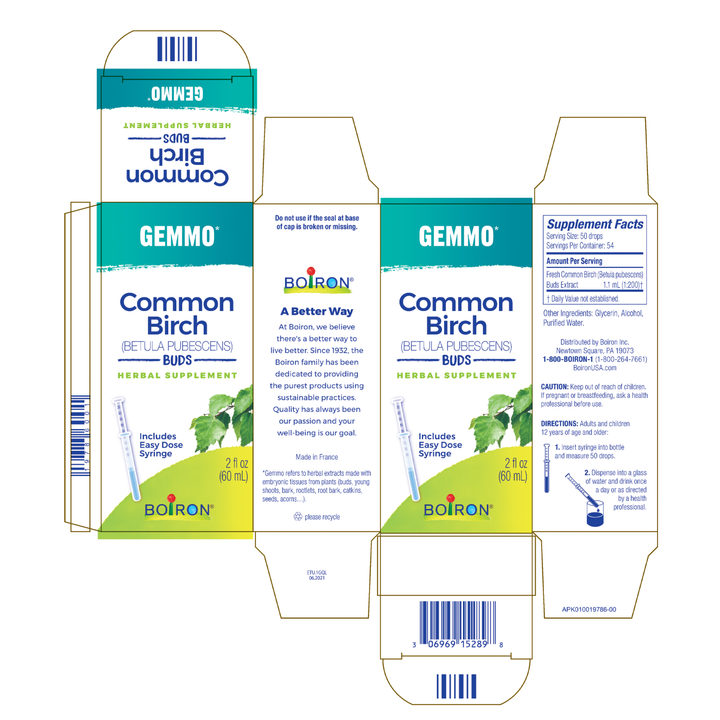 Gemmo Common Birch Buds 2 fl oz