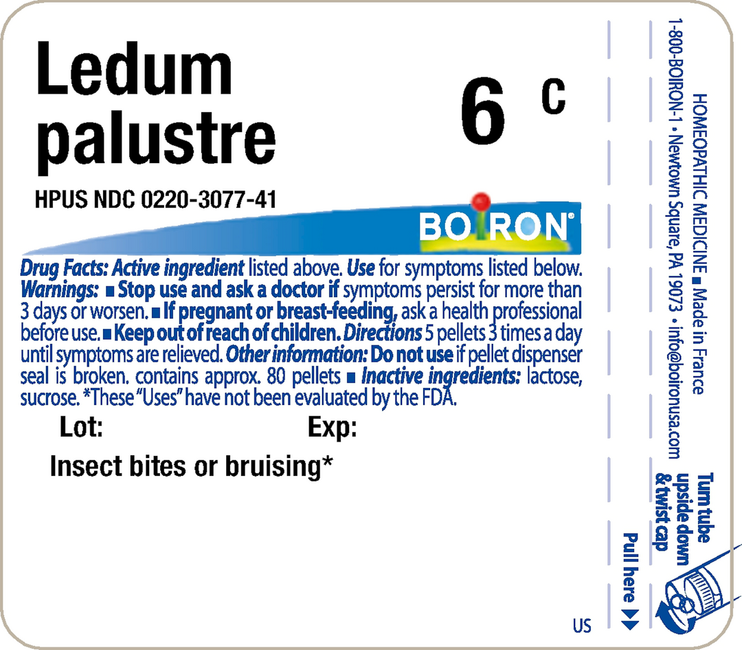 Ledum palustre 6C 80 Pellets