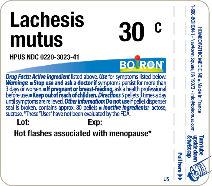 Lachesis mutus 30C 80 Pellets