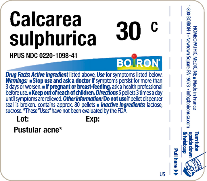 Calcarea sulphurica 30C 80 Pellets