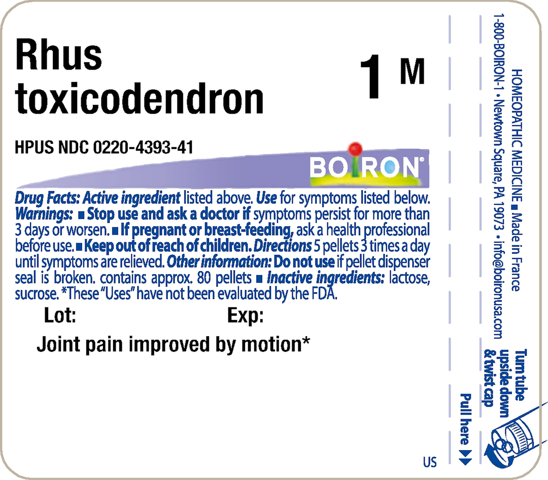 Rhus toxicodendron 1M 80 Pellets