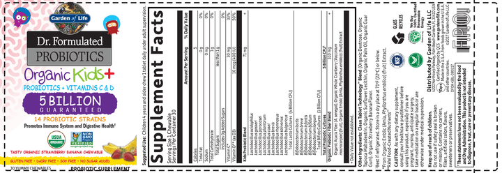 Organic Kids Probiotics Strw/Ban 30chews - FAR HILLS PHARMACY STORE