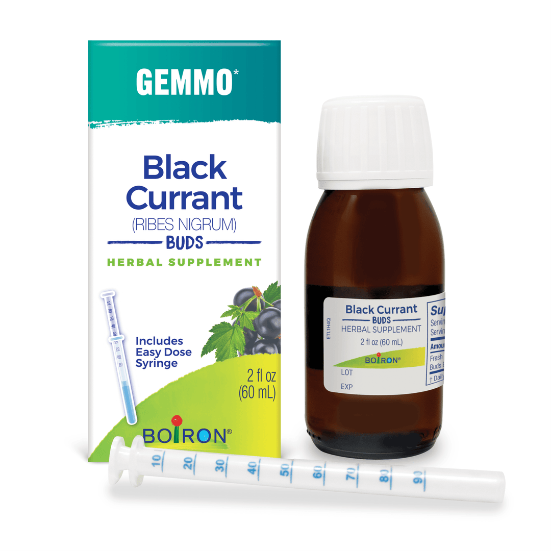 Gemmo Black Currant Buds 2 fl oz - FAR HILLS PHARMACY STORE