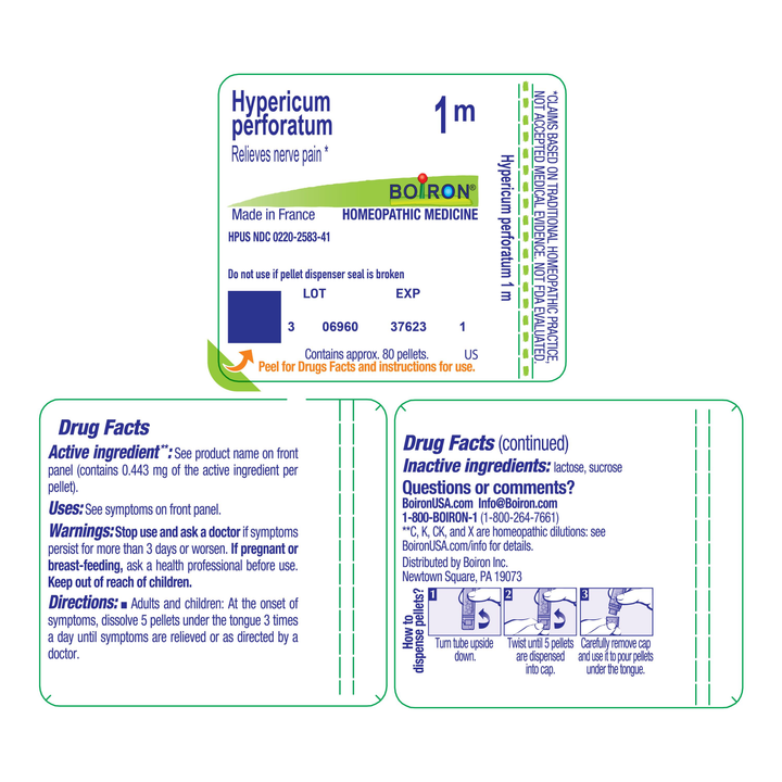 Hypericum perforatum 1M 80 Pellets