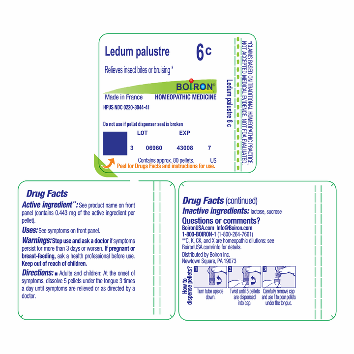 Ledum palustre 6C 80 Pellets