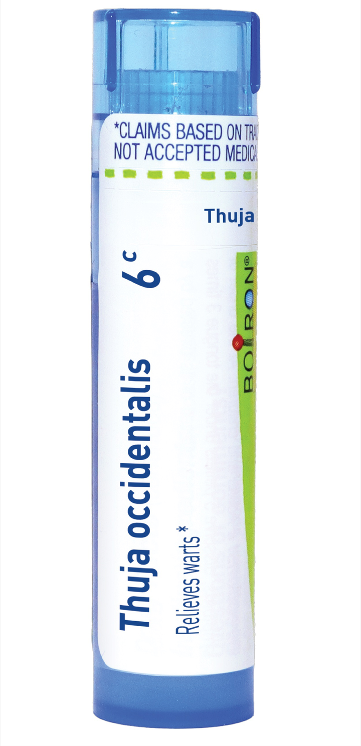 Thuja occidentalis 6C 80 Pellets