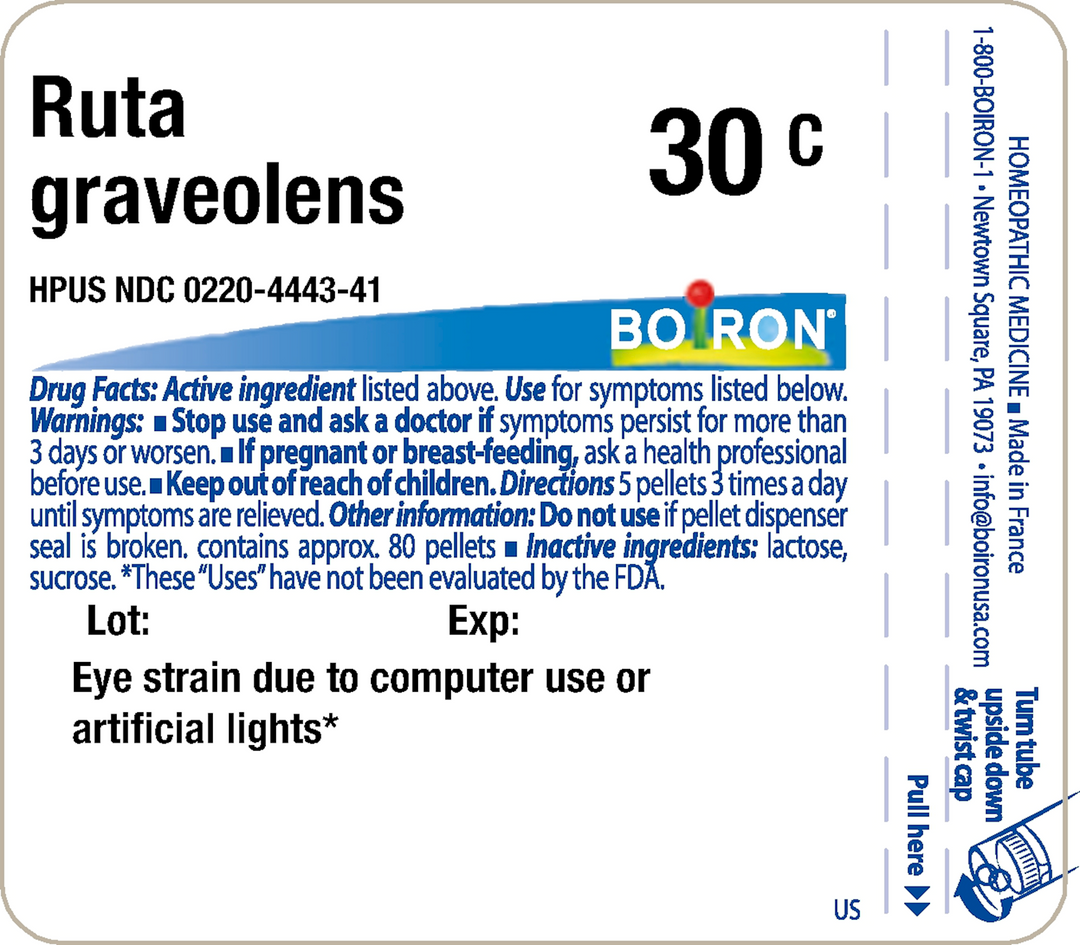 Ruta graveolens 30C 80 Pellets