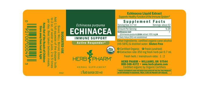 Echinacea