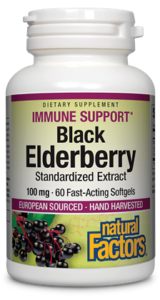 Black Elderberry Extract