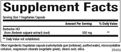 WellBetX Berberine 500 mg - FAR HILLS PHARMACY STORE