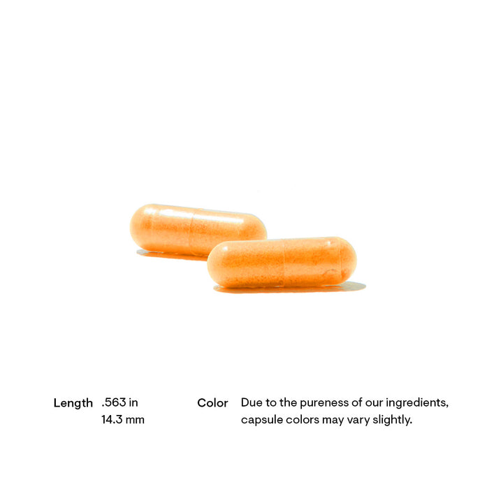 Riboflavin 5'-Phosphate