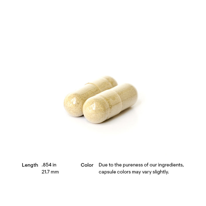 Quercetin Phytosome