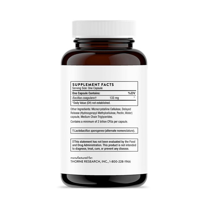 Bacillus Coagulans