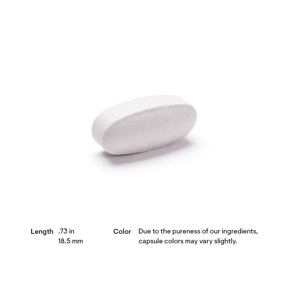 Beta Alanine-SR